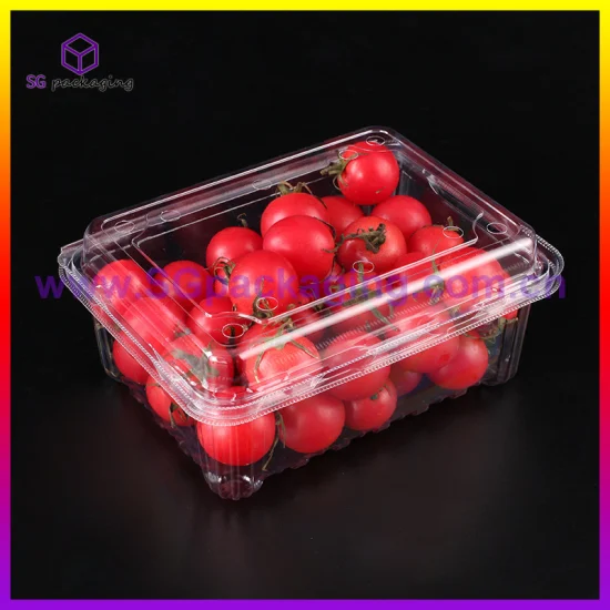 Strawberry Pet Disposable Clamshell Packaging Transparent Fruit Plastic Box